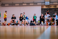 Spring league tournament 2024.